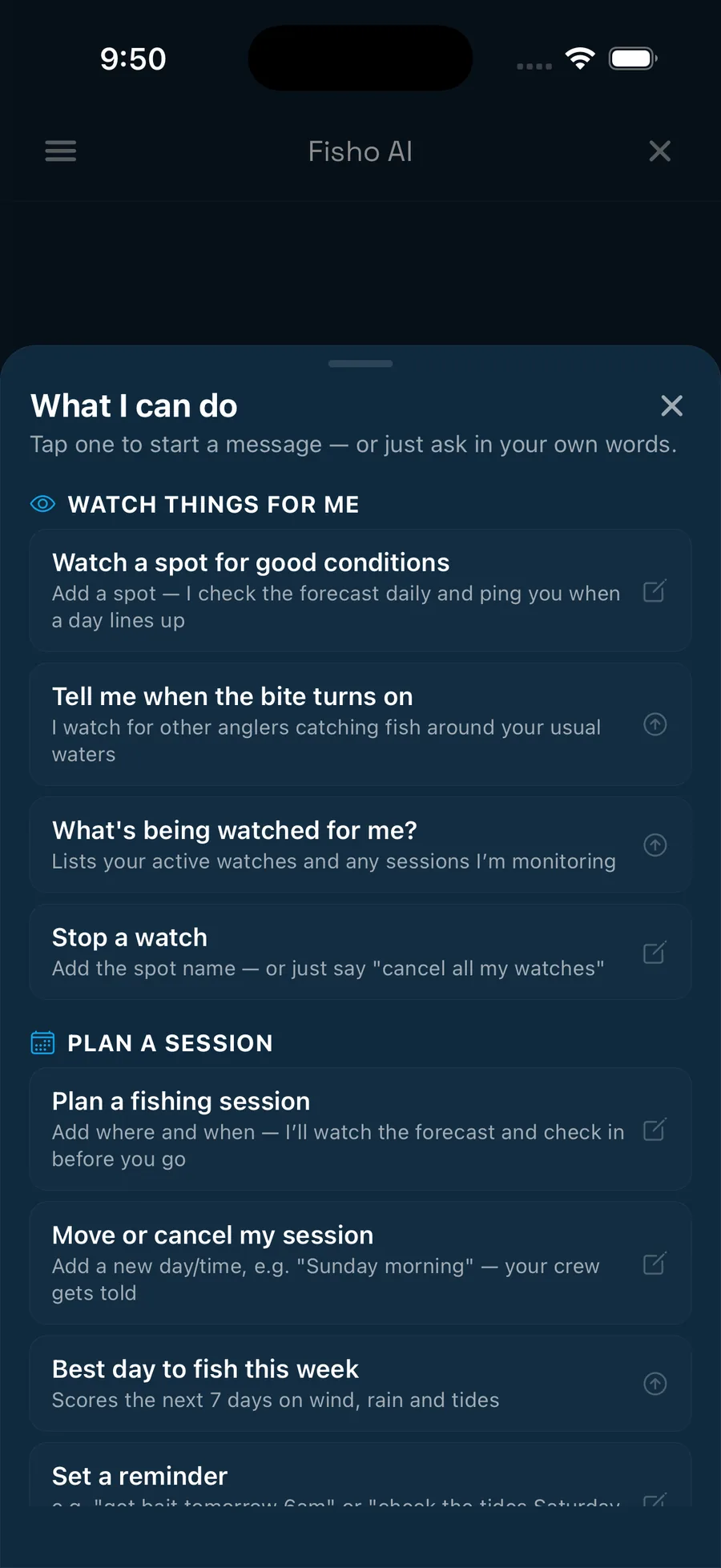 Fisho assistant capabilities on a phone